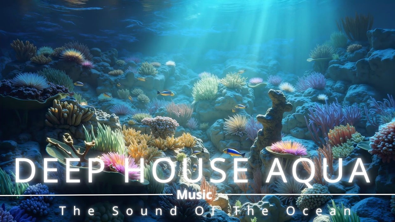 Deep House Vibes 2026 ~ Coastal Deep House Music For Beach Chill