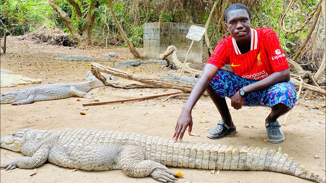 Fun Things To Do When You Visit The Gambia 🇬🇲