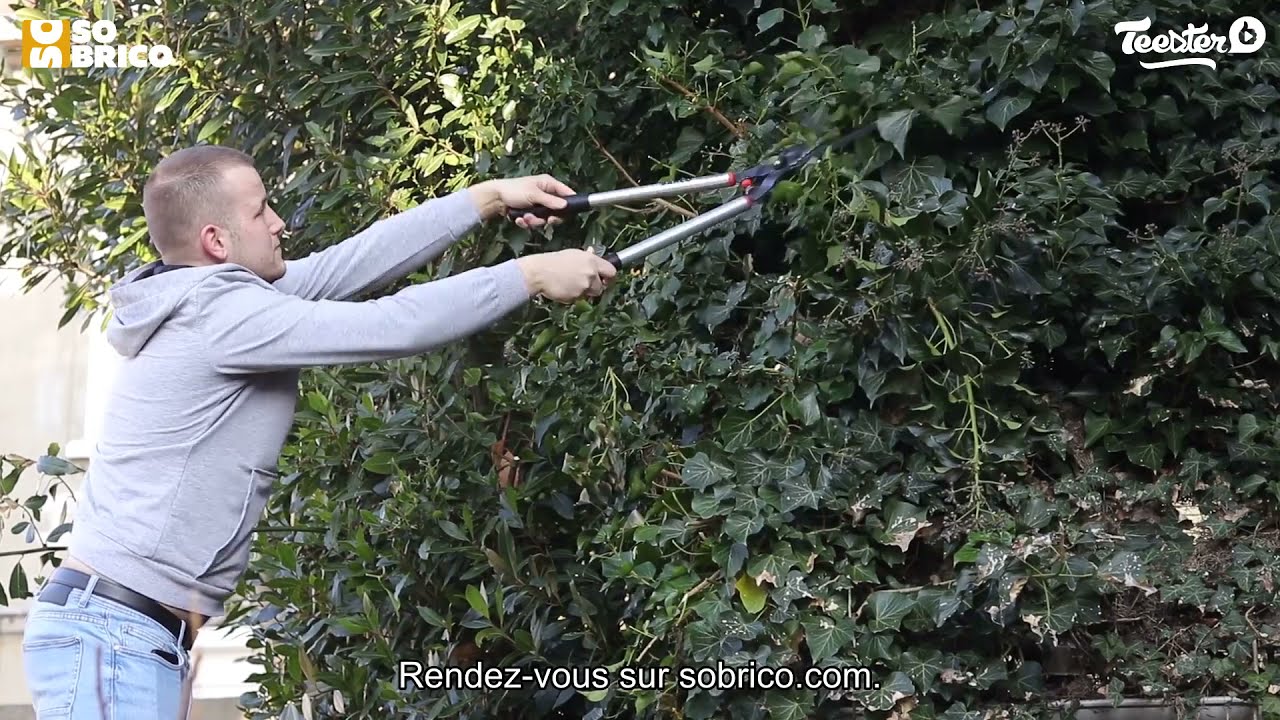 Utilisation la paire de Cisaille à haies 730mm CAP - BAHCO !