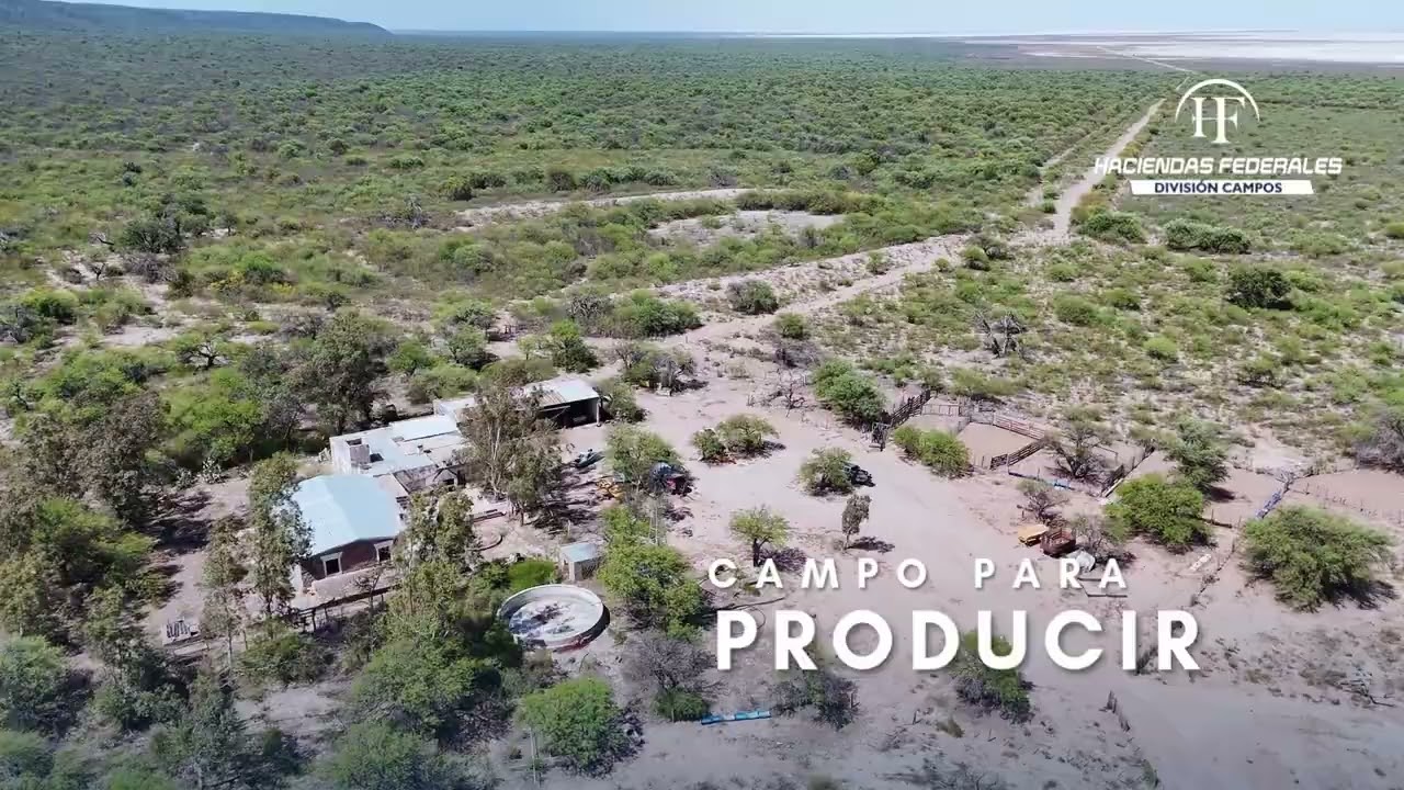 Campo en venta en Salinas de Ambargasta | Santiago del Estero