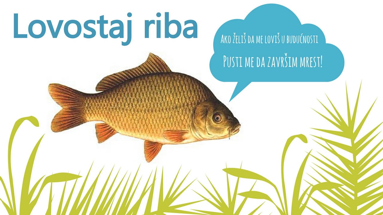 Lovostaj riba, ograničenja u rekreativnom ribolovu
