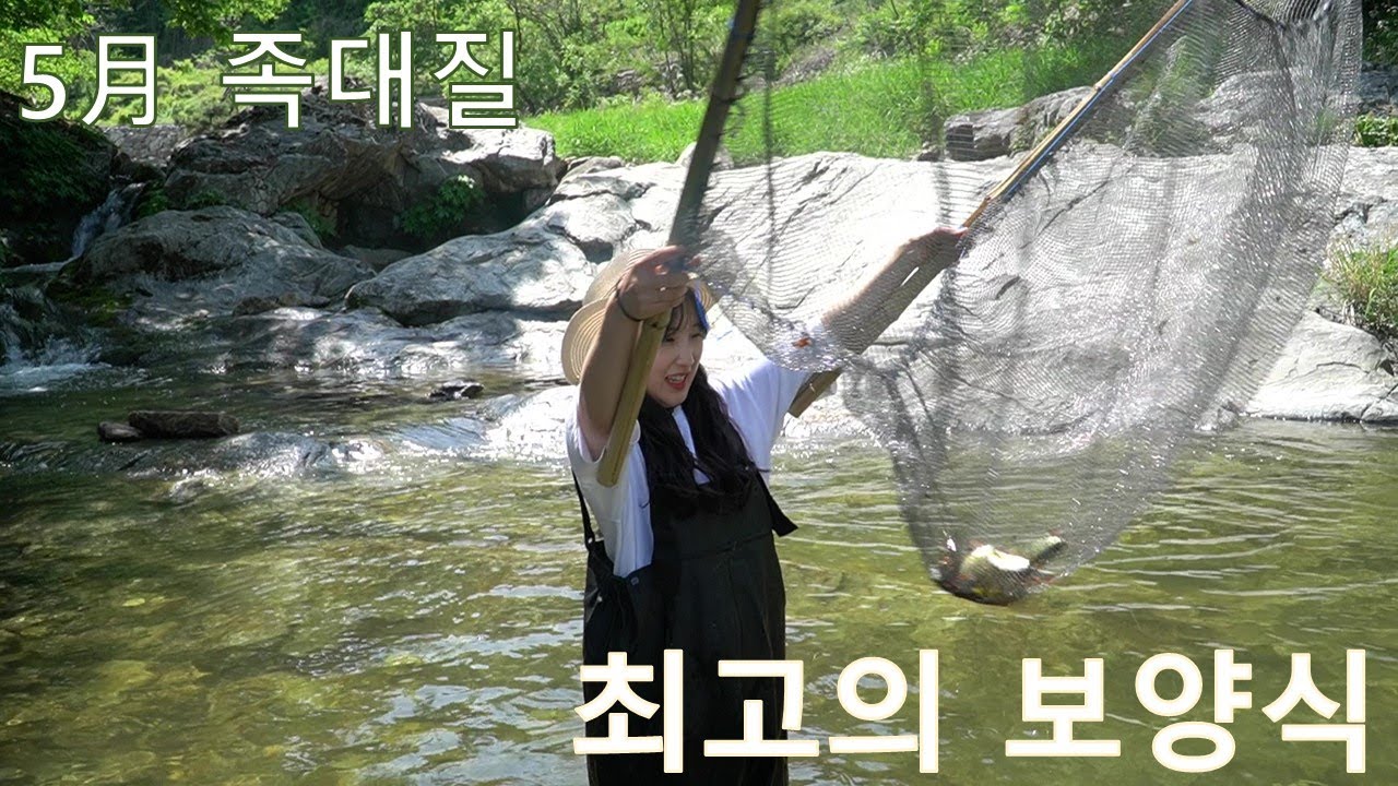 (족대질 천렵) 1급수 계곡으로 족대질 다녀왔습니다~잡아온 물고기로 최고의 보양식을 만들어 소주 한잔 캬~