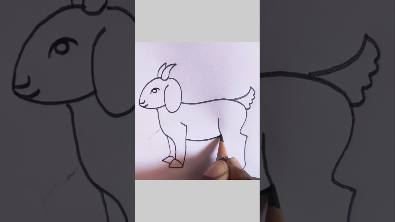 Goat Drawing Easy #pencilart #draw #art #shorts