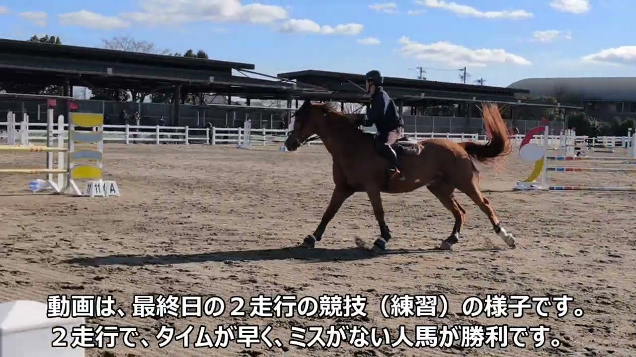 高校1年生になっても、馬術をうまくなりたい　 2026/01/12 高馬連の国内強化合宿に参加しました。 #高校生馬術  #高校部活