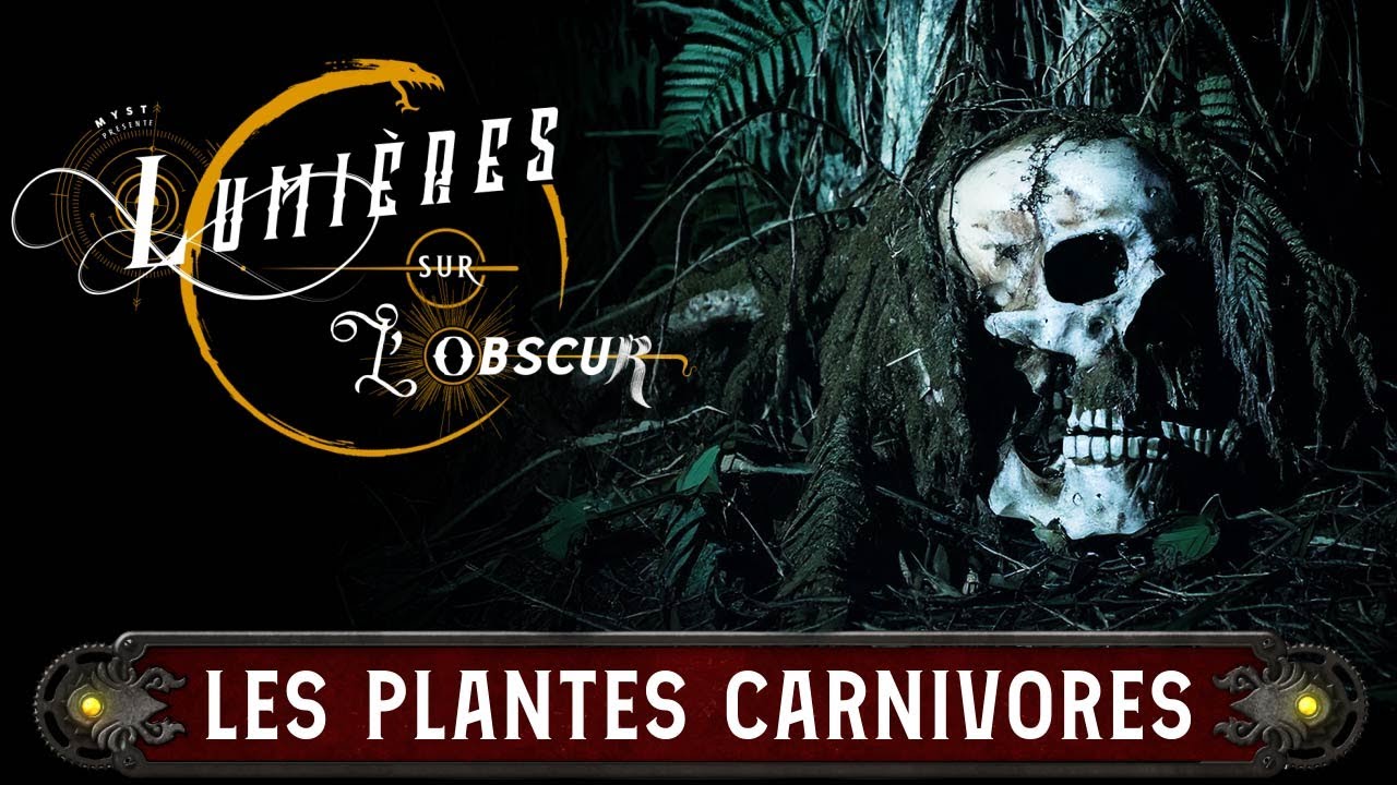 LUMIÈRES SUR L' OBSCUR : LES PLANTES CARNIVORES