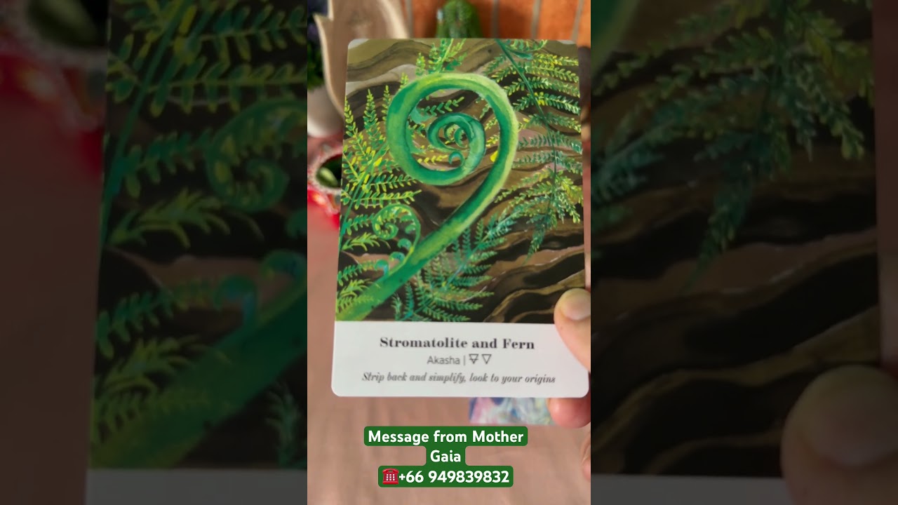 Message/guidance from Mother Gaia