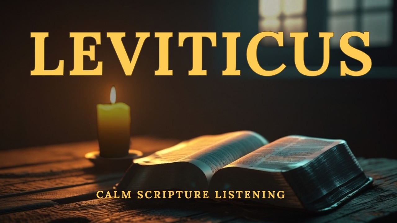 LEVITICUS | Calm Scripture Listening | The Steady Word