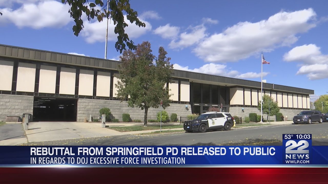 Document into Springfield Police excess force investigation released by DA