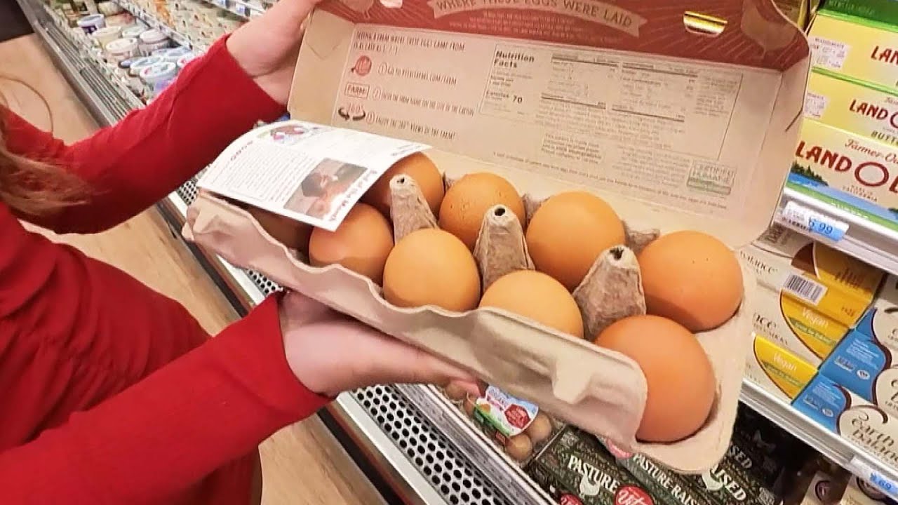 Which Type of Eggs Should You Buy?