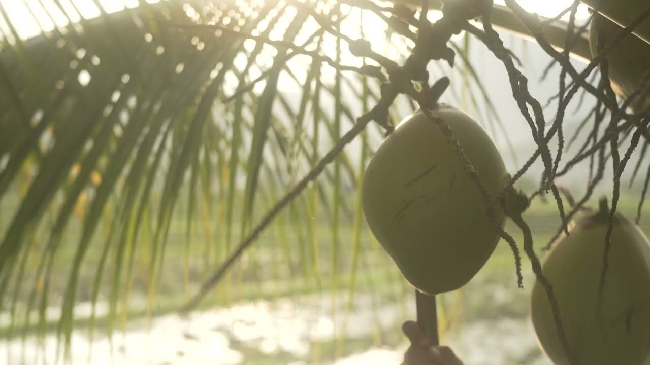 From Bali to Lombok | Luxury Beach Villas at a Destination Less-Travelled Beyond Bali