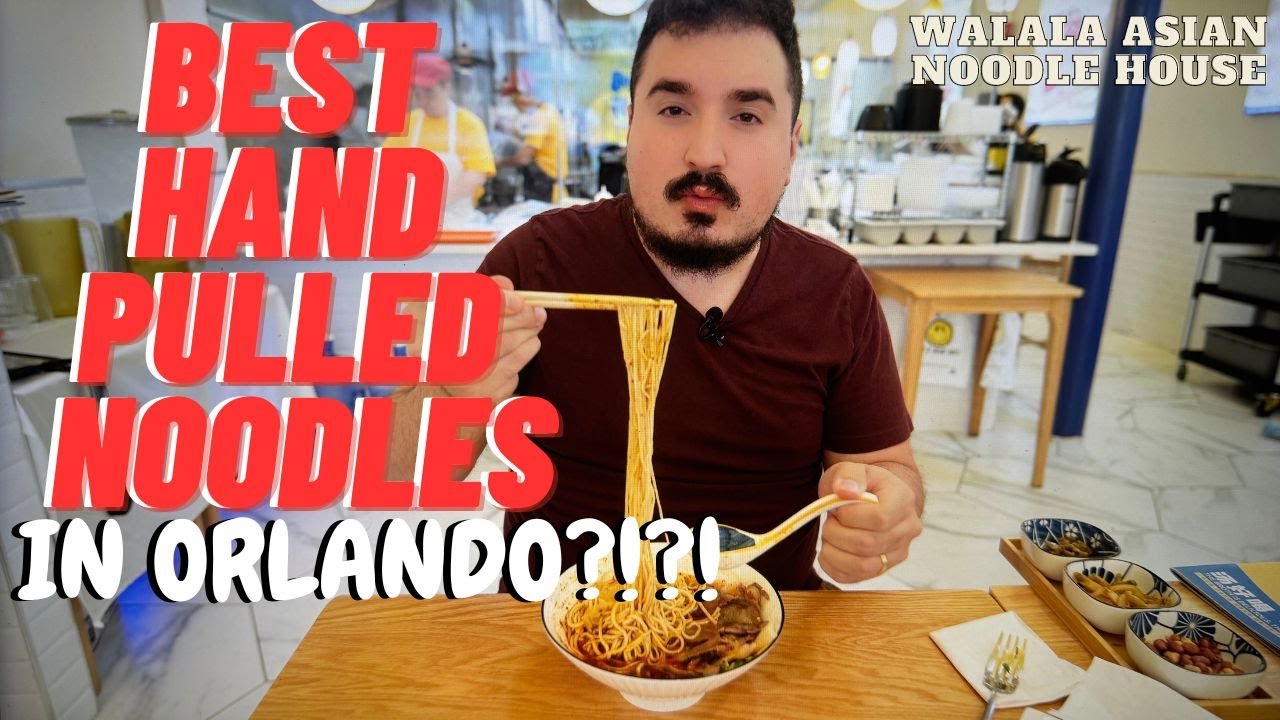 Orlando's Best Hand-Pulled Noodles: A Taste of Heaven