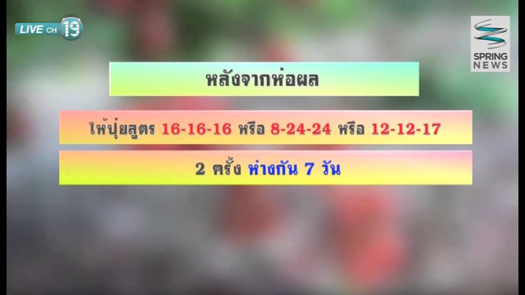 เศรษฐีเกษตร 1/3/58 : เศรษฐี 