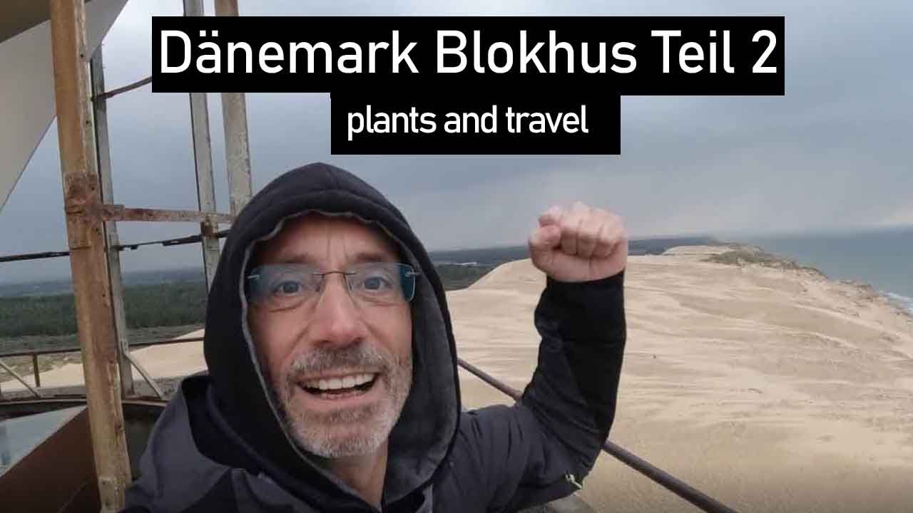 Kurzurlaub in Dänemark Blokhus Jammerbucht Teil 2 Lönstrup, Rubjerg Knude und Bulbjerg