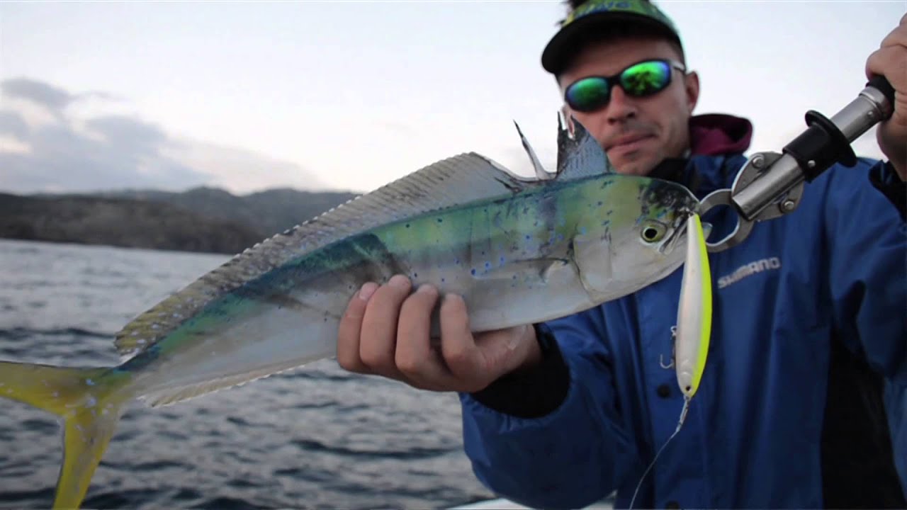 North Craft promo HD Japan Lures