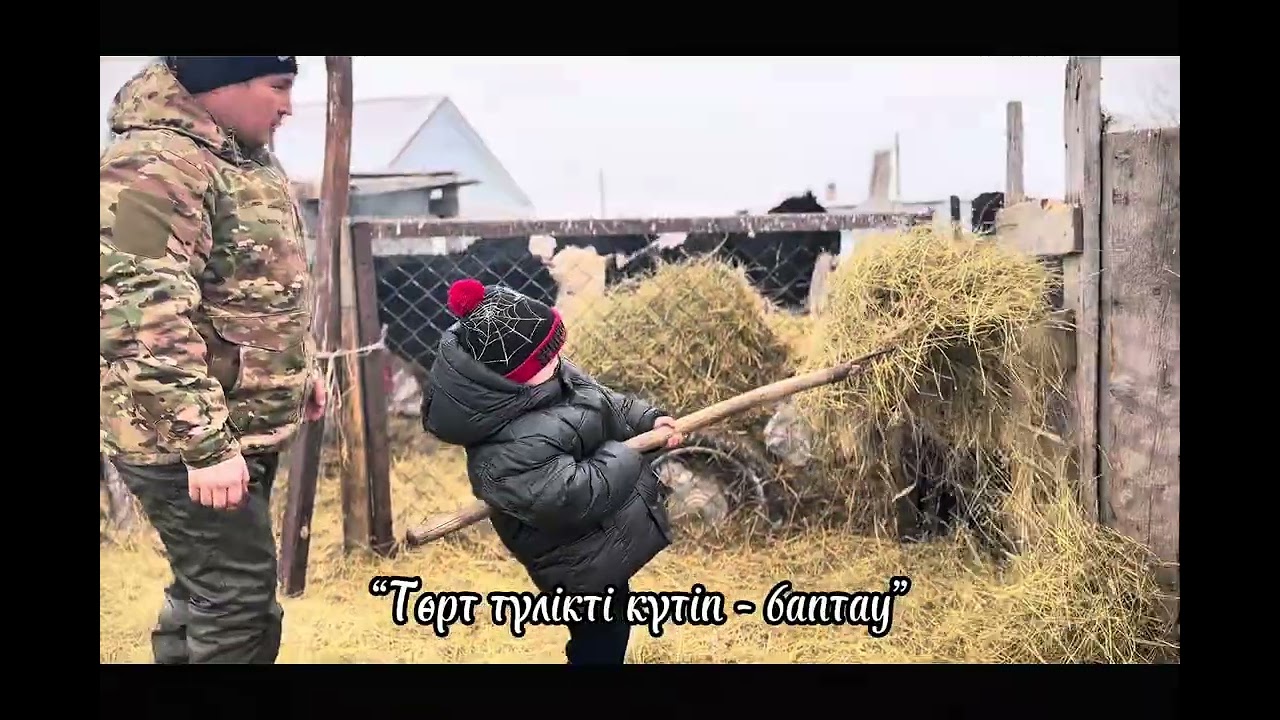 1 февраля 2026 г.