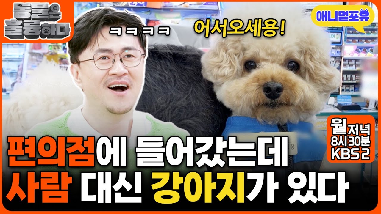 '편의점'을 갔더니 '강아지'가 인사를 한다 ㅋㅋㅋㅋ I KBS 2TV 동물은 훌륭하다 241216 방송