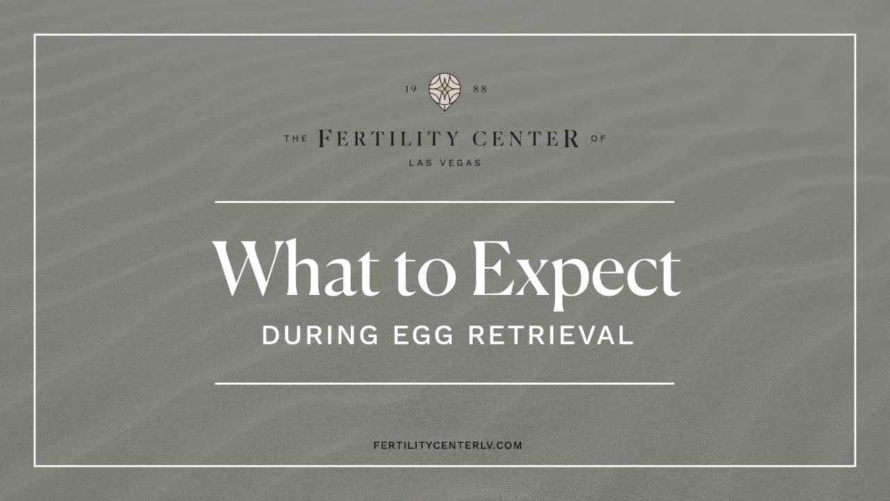 What to Expect During Egg Retrieval