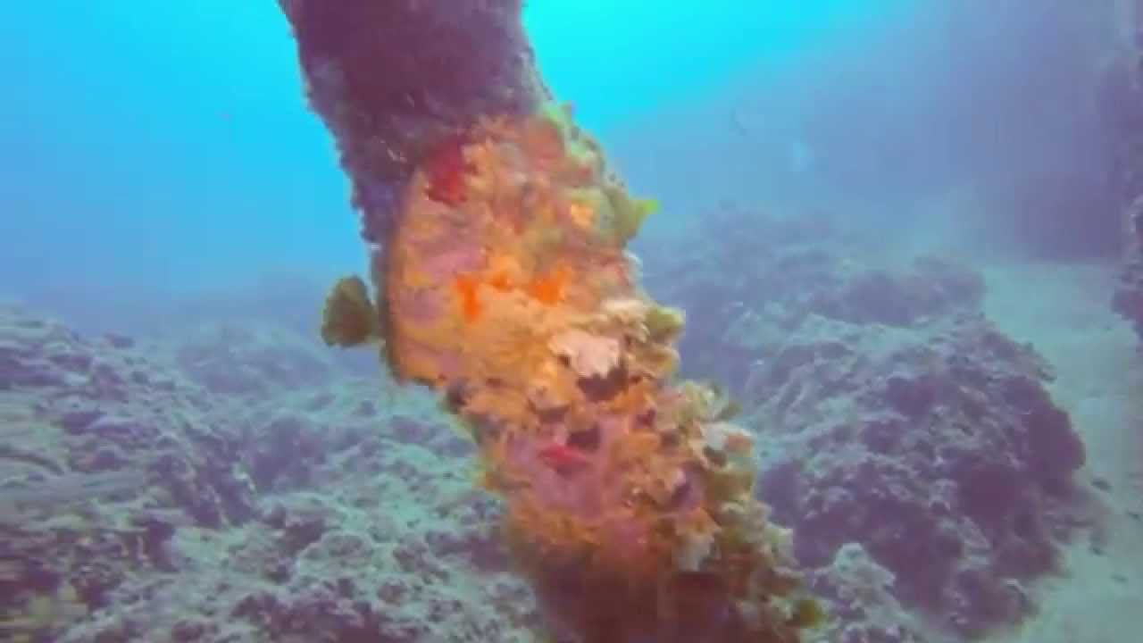 Dive in Otranto - Il taglio delle Orte