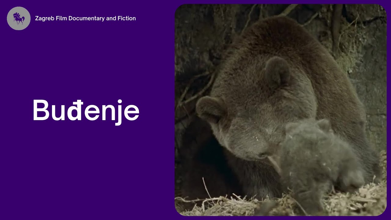 Buđenje (Branko M. Marjanović, 1964.) dokumentarni