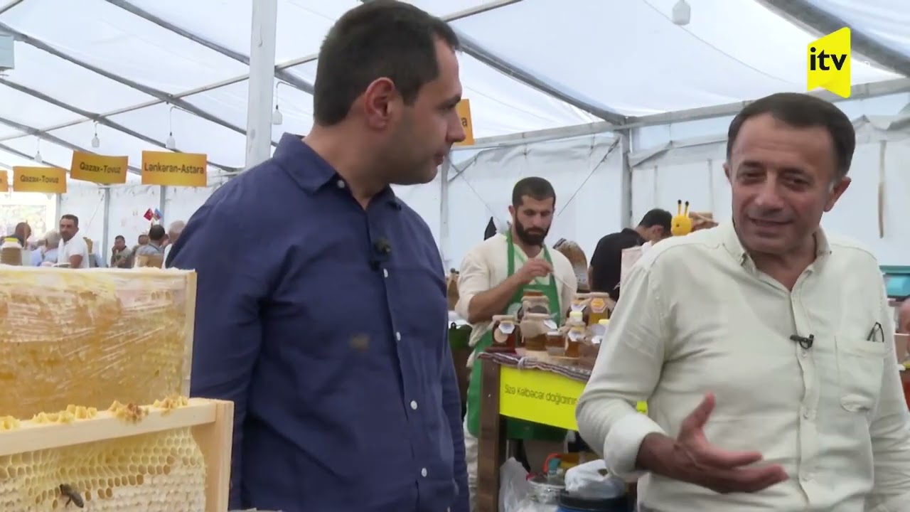 Kəlbəcər balı və Arıçılıq sənayesi | Bazarda İlkin Manafov