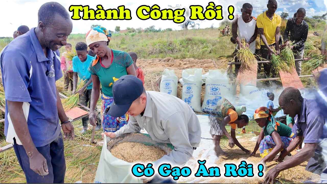 Công Giáp || Cha Xứ Cùng Người Dân Vỡ Oà , Khi Lần Đầu Tiên Tự Tay Trồng Được Lúa !!!