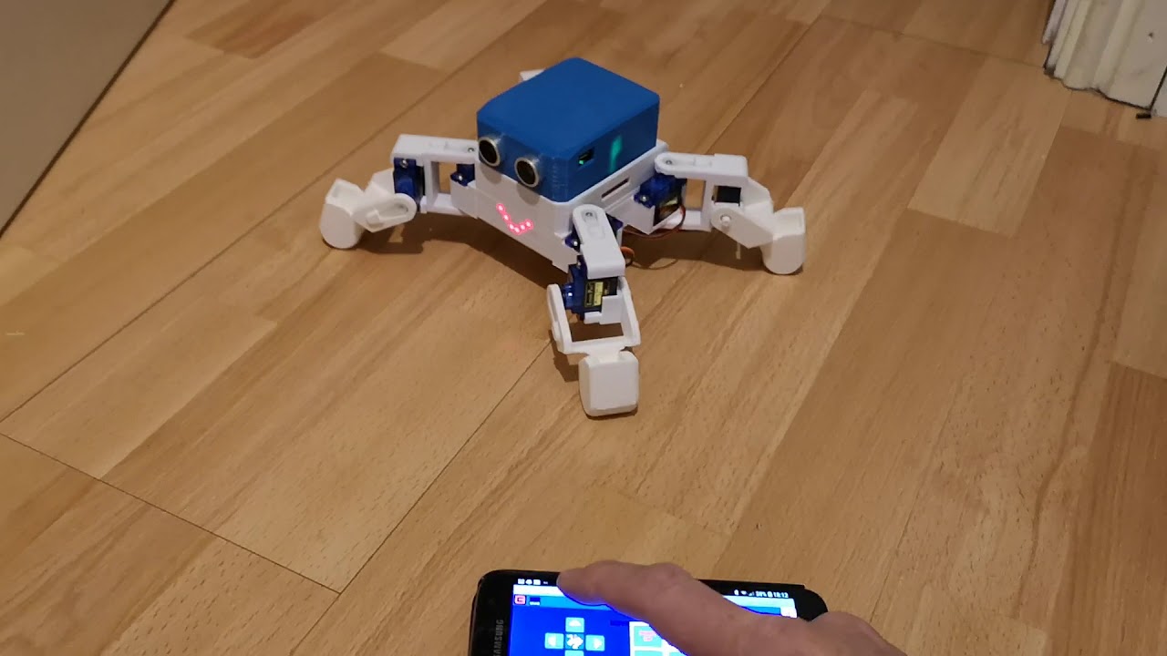 Otto Quadruped