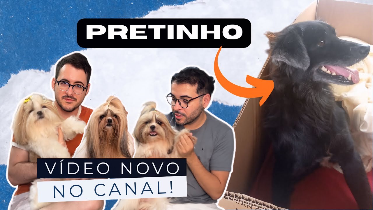 VOLTAMOS PARA O YOUTUBE! Dois Pais de Pet 