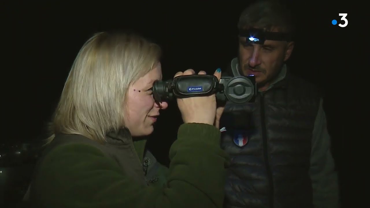 Loup : formation des louvetiers du Jura aux tirs de défense et effarouchement