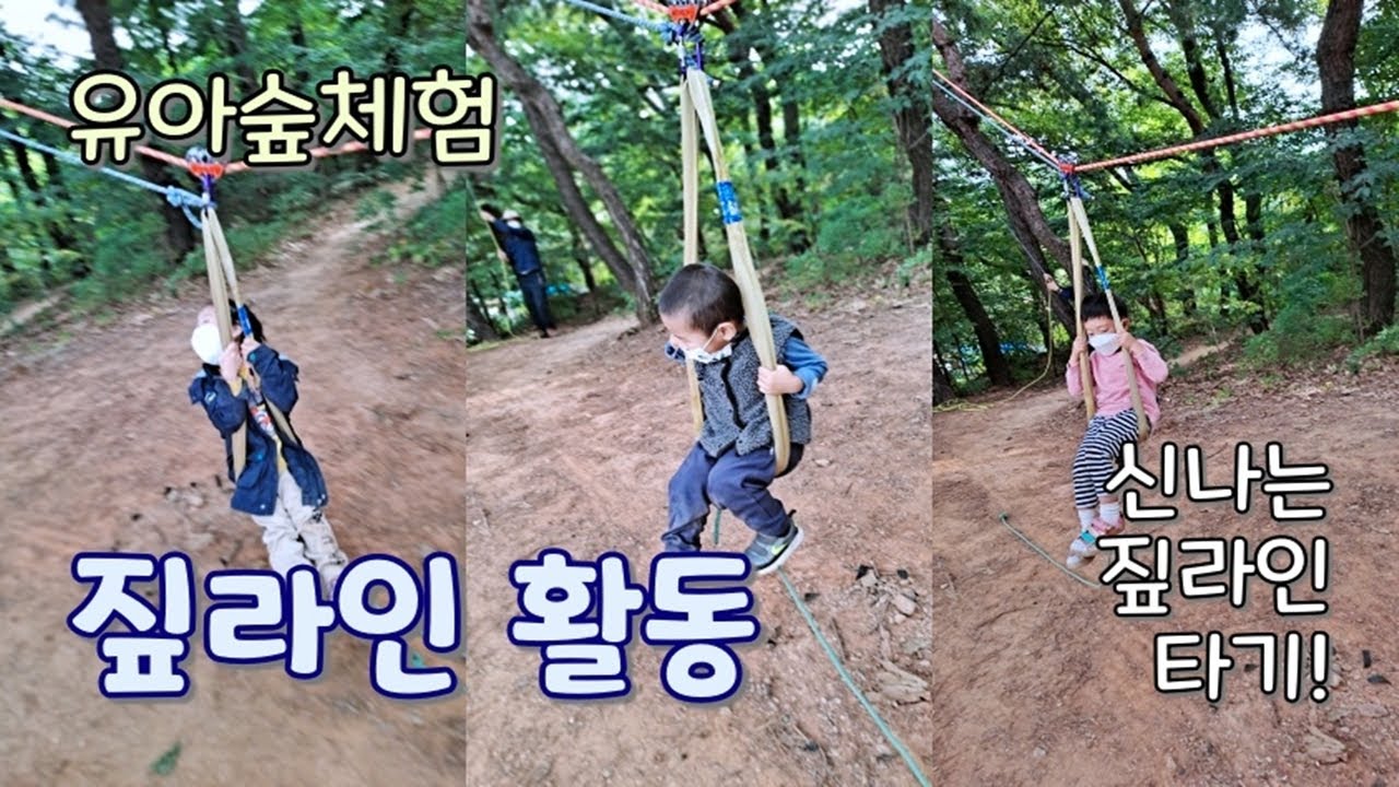[숲체험] 짚라인 활동   (짚라인 타기, 숲놀이터,유아숲체험)