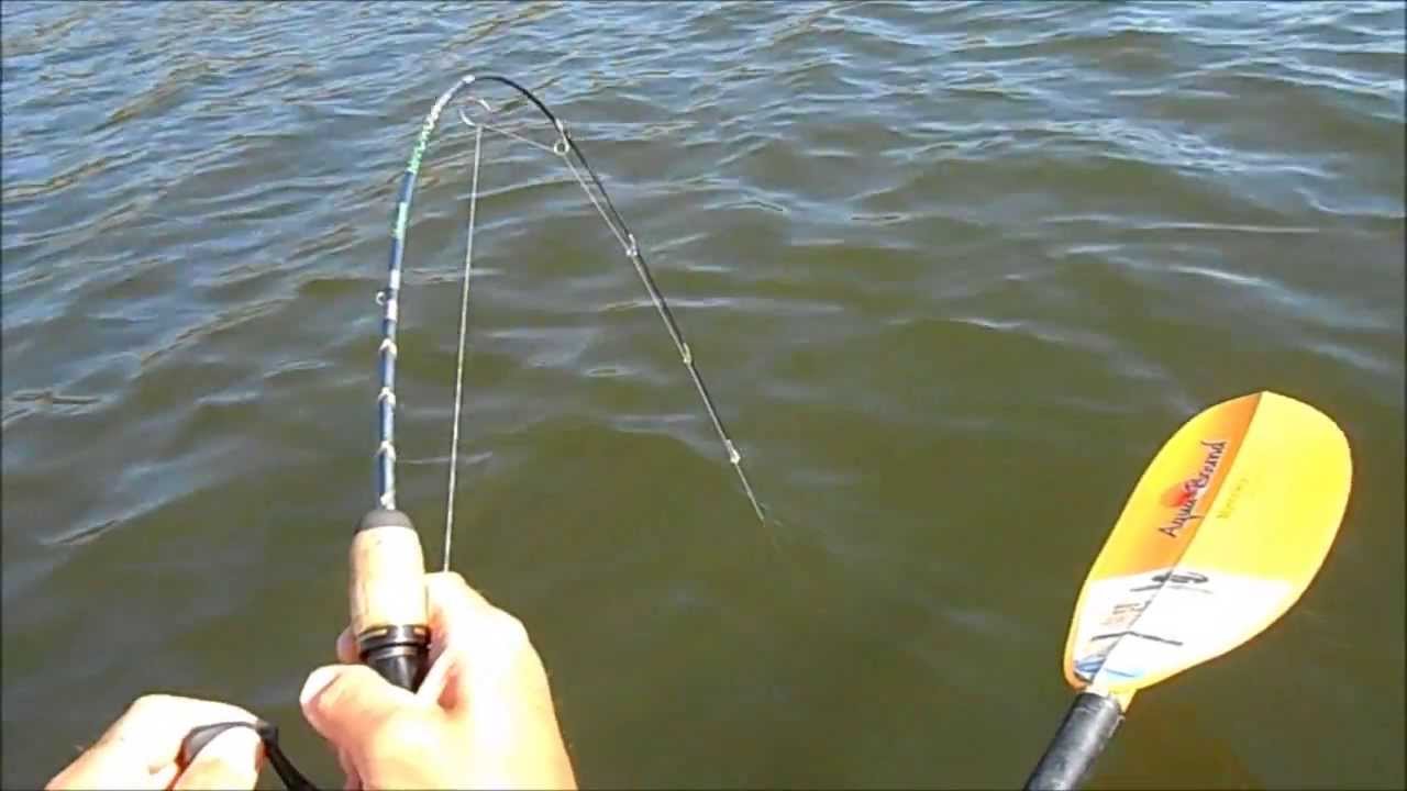 510-13  marsh creek lake catching a muskie while fishing from a kayak