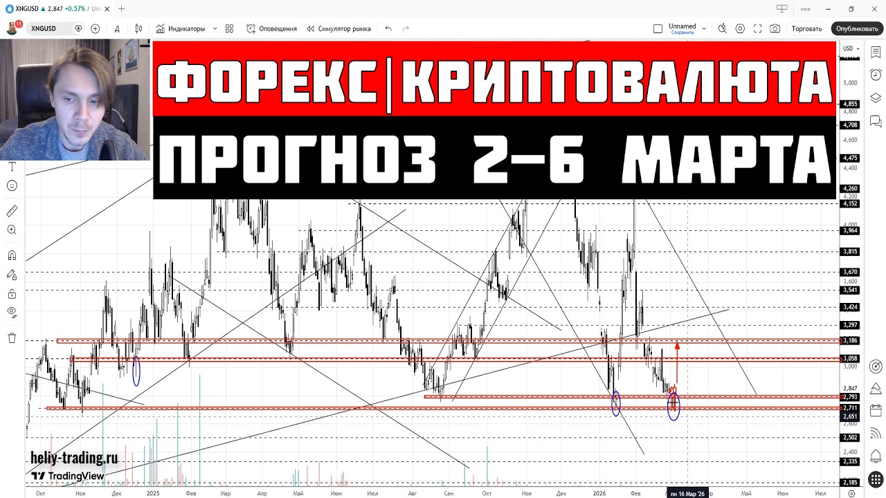 Прогноз Форекс и Криптовалюта на 2 - 6 марта 2026: Доллар, Рубль, Биткоин, Золото, Нефть, S&P500