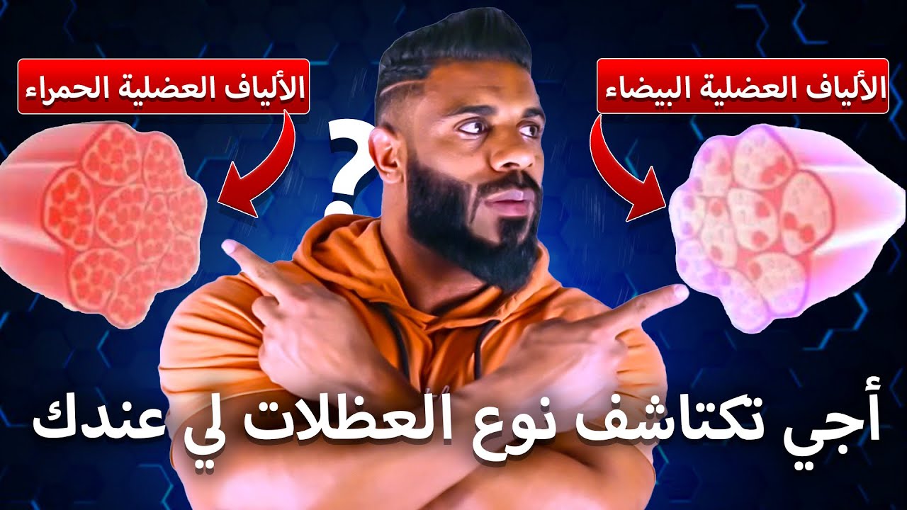 تعرّف على نوع تمارين المناسبة لك من خلال أليافك العضلية