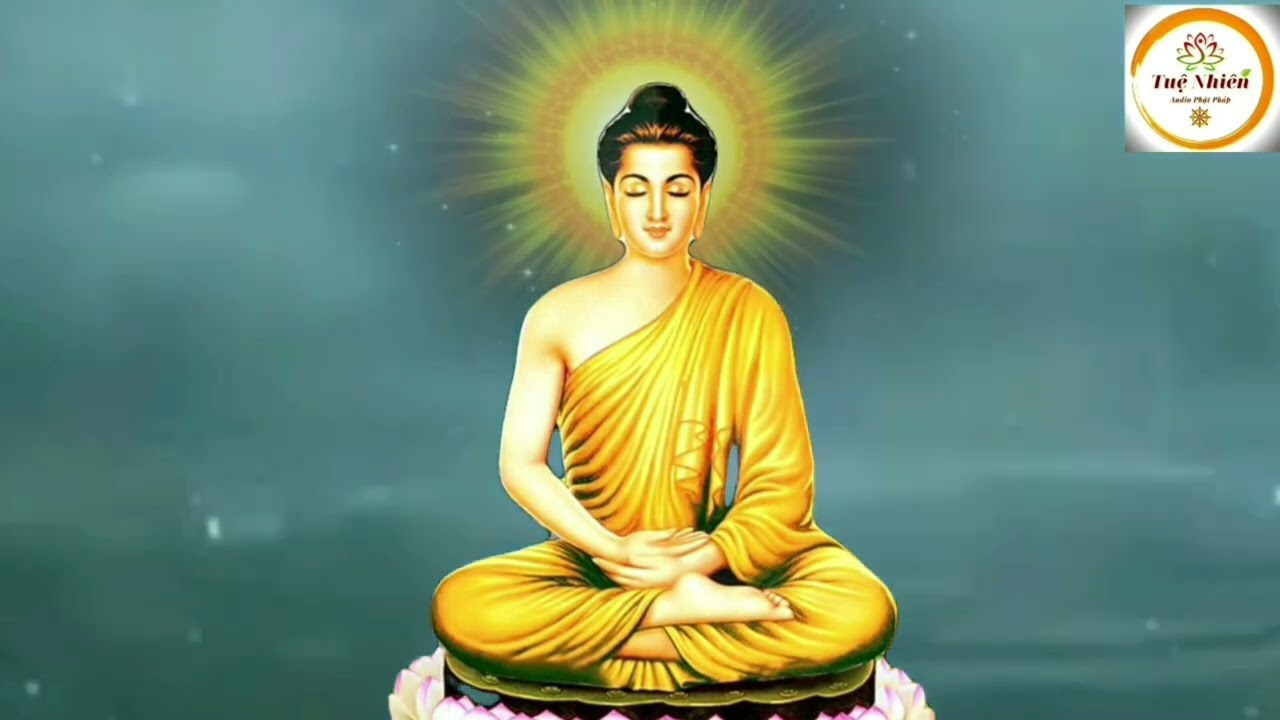 TUỆ NHIÊN _NHẠC THIỀN _ MIX MEDITATION_HEALING MUSIC _ RELAXING  MUSIC