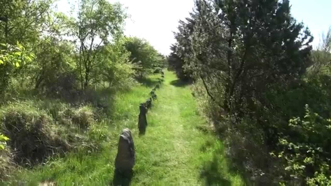Myrhøj - et fortidsminde i Vesthimmerland