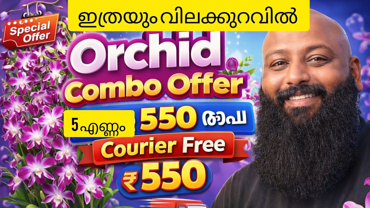 Orchid combo offer 5എണ്ണം 550രൂപ couriour free #orchid #orchids 