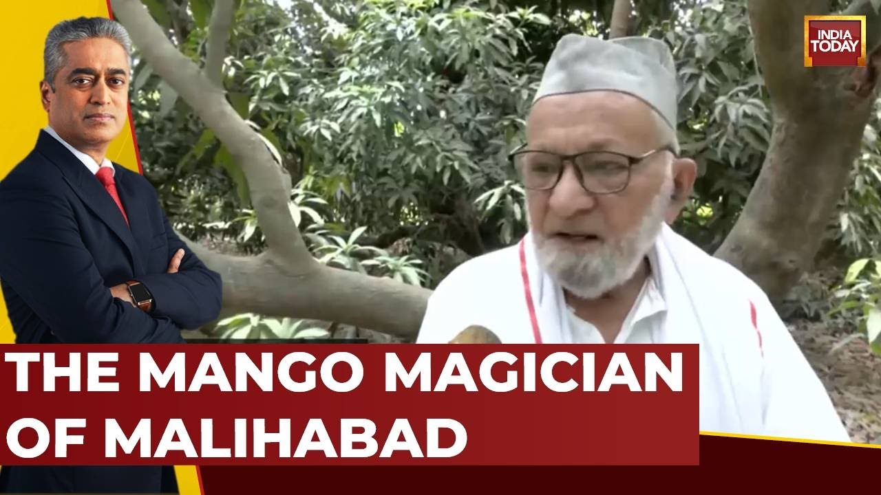 Goodnews Today: Meet Haji K Khan, The Mango Magician Of Malihabad | News Today | India Today