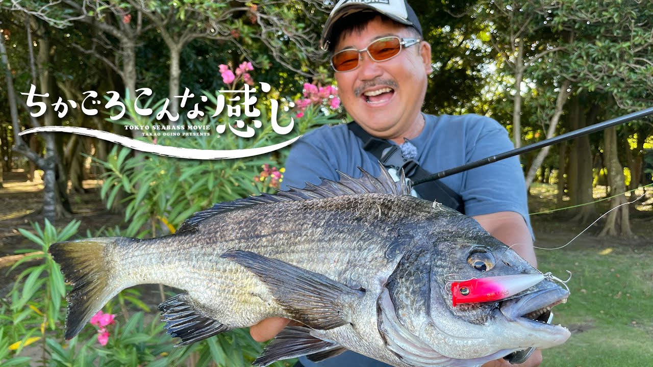 これから本格シーズン到来!!チニング トップゲーム!! ちかごろこんな感じ～東京湾 陸っぱりトップチヌ～/荻野貴生(1426)