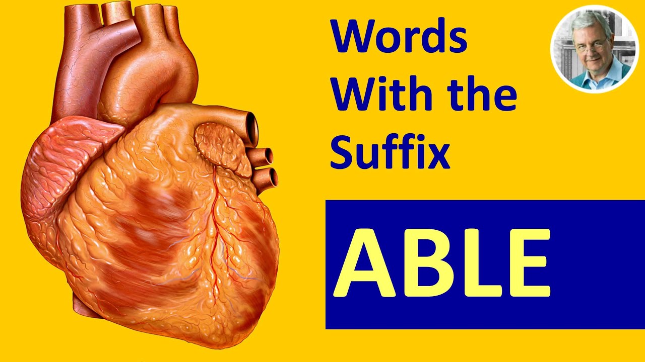 Words With the Suffix ABLE | IBLE (6 Illustrated Examples)