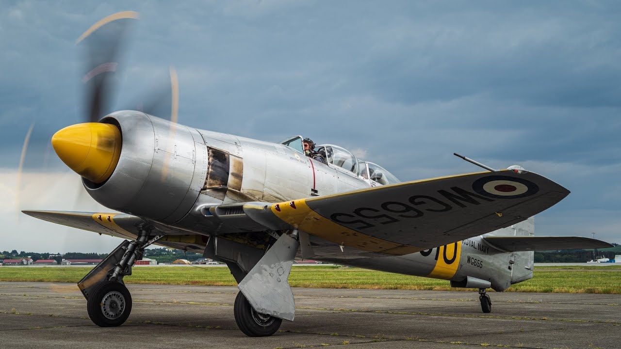 Sea Fury display by Lars Ness | Flydagen Sola 2019