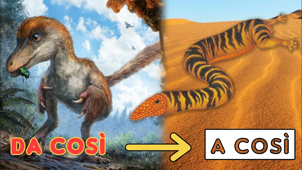 Come sarebbero i DINOSAURI se NON si fossero estinti?