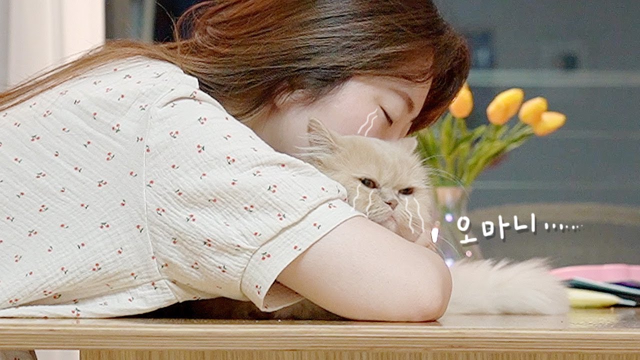 요지는 드디어 메주를 만나고, 남집사는 등짝을 맞았다