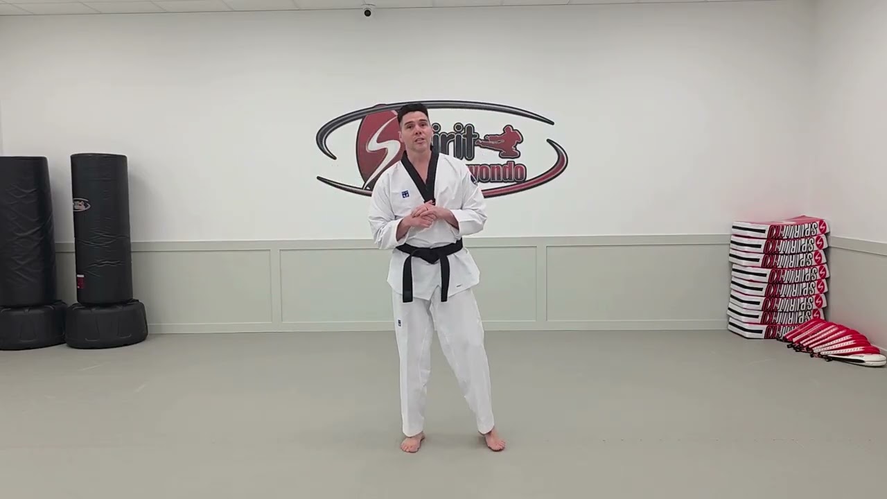 Kicking Techniques Orange Belt