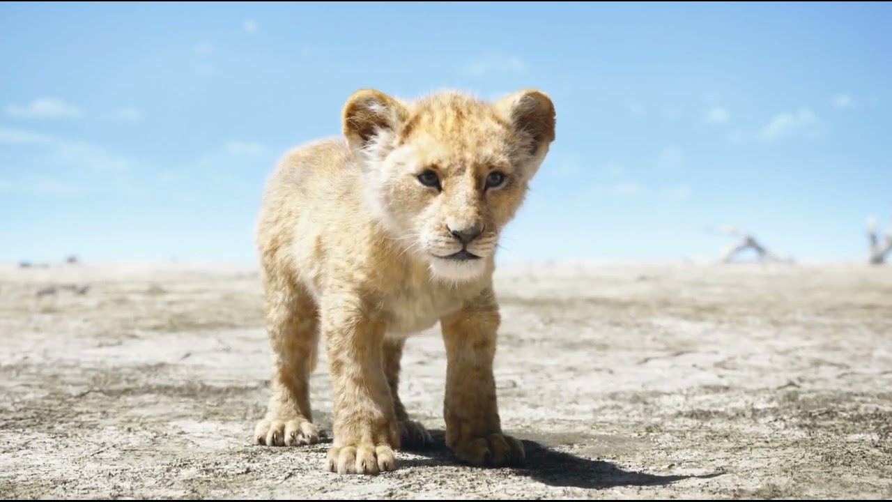 The Lion King 2019 pumbaa and timon meet simba