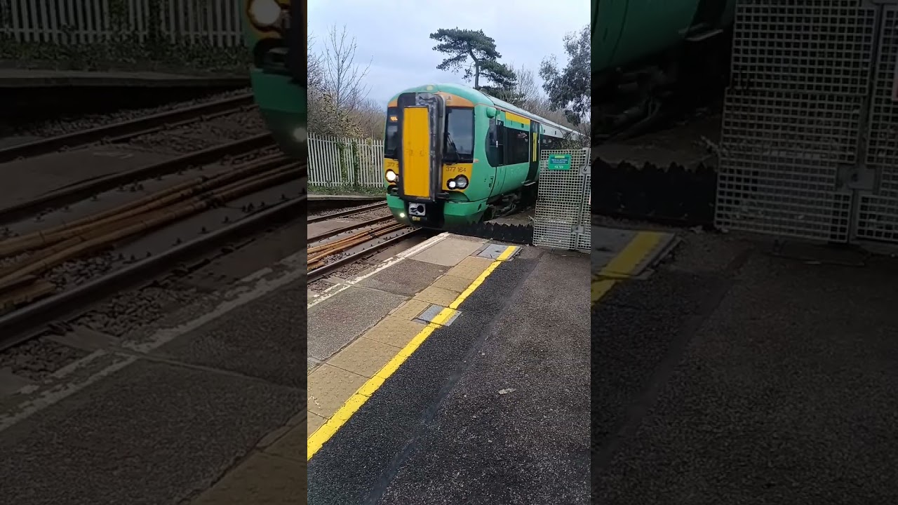 Trains at Emsworth 24/11/25