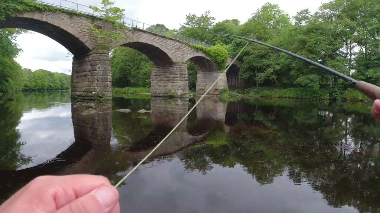Fly Fish the River Tees.@barnfieldfishing