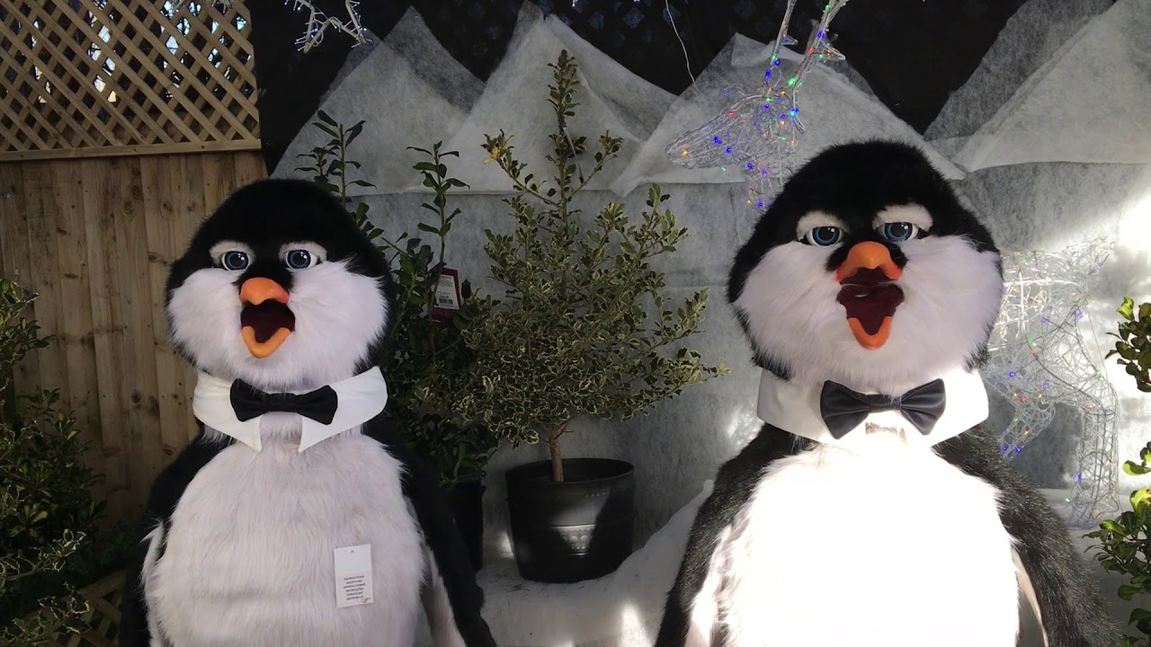 Christmas Singing Penguin Barbershop Animatronic Trio at Webb's Garden Centre Cheltenham