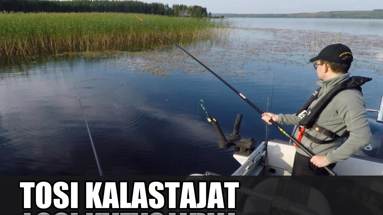 Ahventa onkimassa | syöttinä salakka ja mato