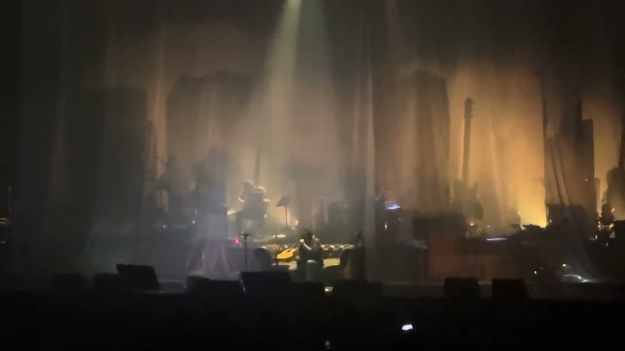 Damien Saez - Lulu @Zenith Montpellier - 20/03/2025