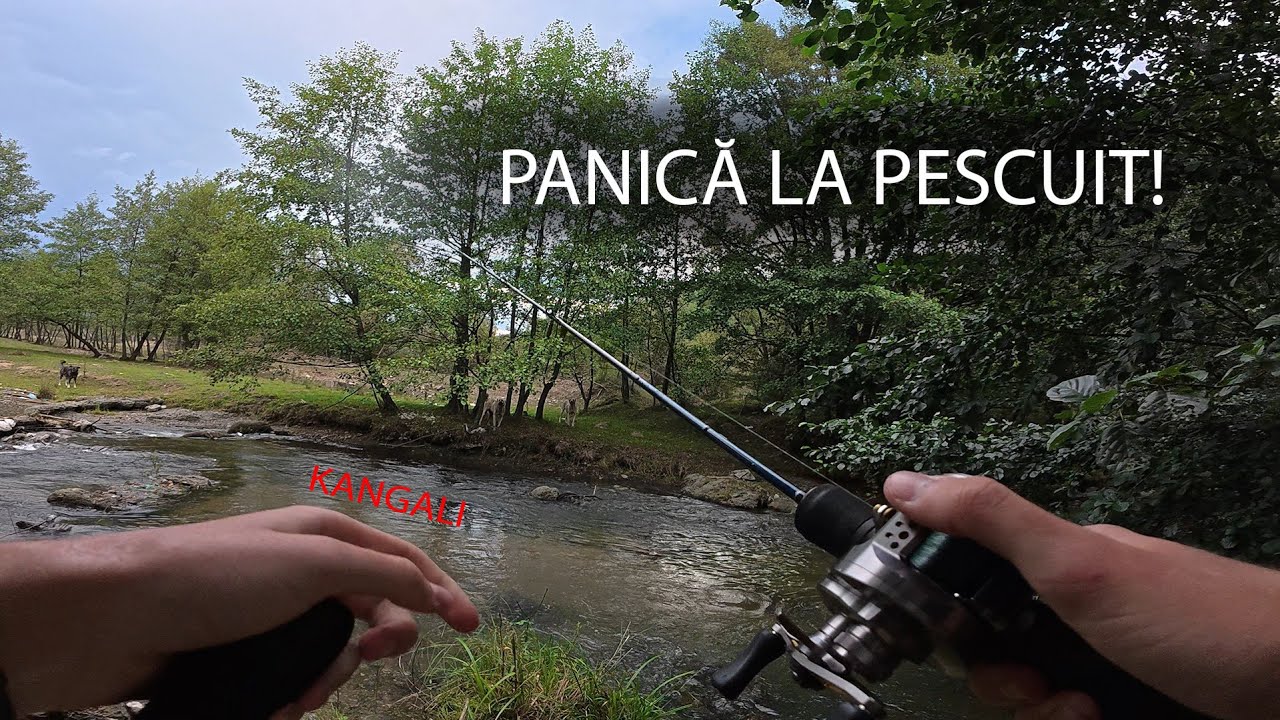Câini, furtuni și urme de urs.  Probabil cea mai grea zi la pescuit!🐻🌧️🐶