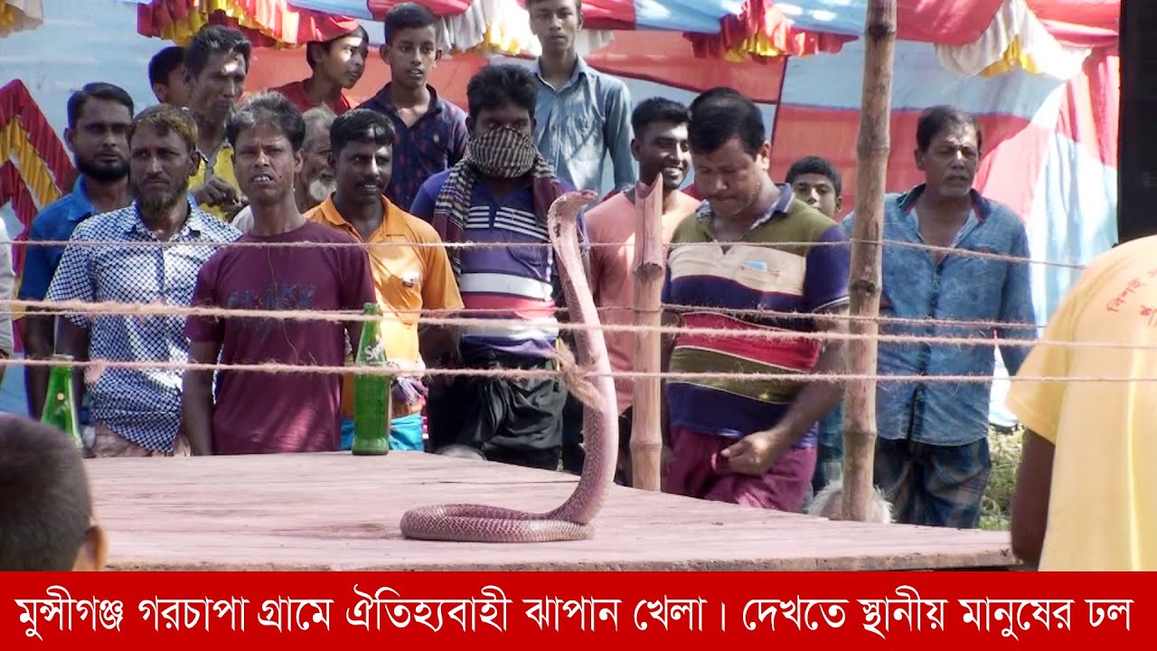 মুন্সীগঞ্জ গরচাপা গ্রামে ঐতিহ্যবাহী ঝাপন খেলা। দেখতে স্থানীয় মানুষের ঢল | Snake game | rk news